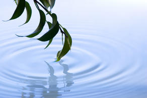 Water_w300